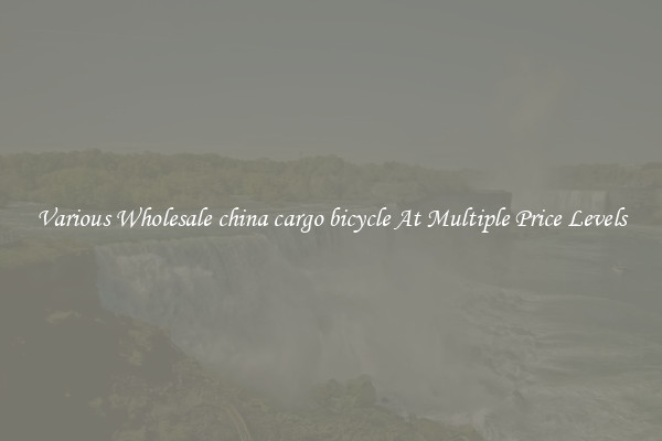 Various Wholesale china cargo bicycle At Multiple Price Levels