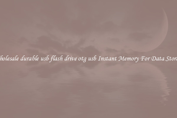 Wholesale durable usb flash drive otg usb Instant Memory For Data Storage