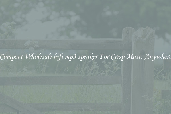 Compact Wholesale hifi mp3 speaker For Crisp Music Anywhere