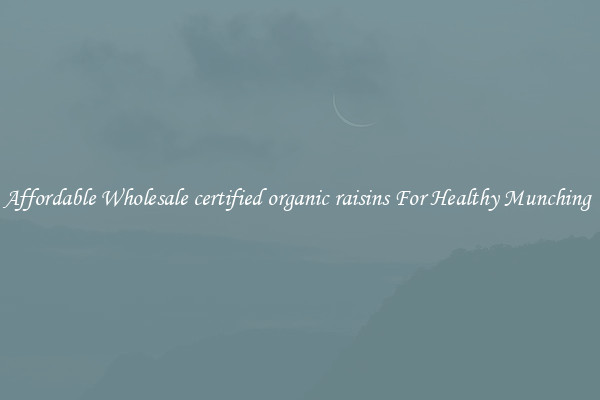 Affordable Wholesale certified organic raisins For Healthy Munching 