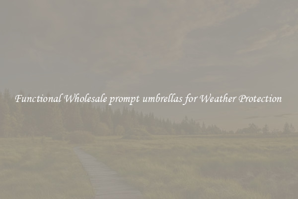 Functional Wholesale prompt umbrellas for Weather Protection 