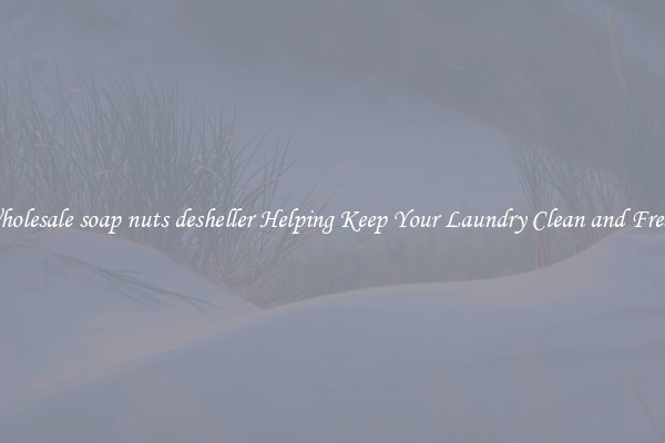 Wholesale soap nuts desheller Helping Keep Your Laundry Clean and Fresh 