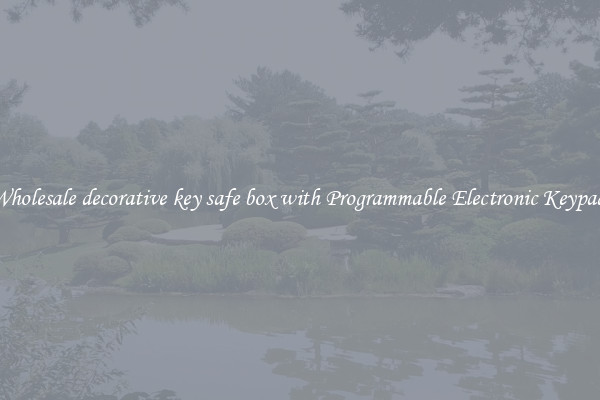 Wholesale decorative key safe box with Programmable Electronic Keypad 