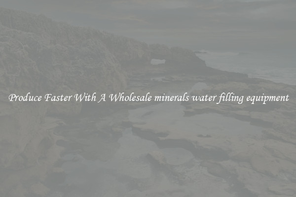 Produce Faster With A Wholesale minerals water filling equipment