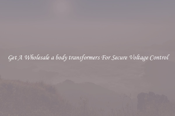 Get A Wholesale a body transformers For Secure Voltage Control
