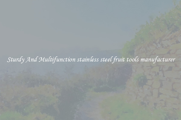 Sturdy And Multifunction stainless steel fruit tools manufacturer