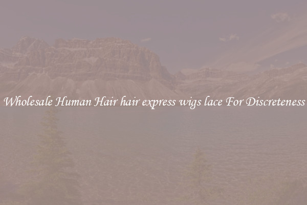 Wholesale Human Hair hair express wigs lace For Discreteness
