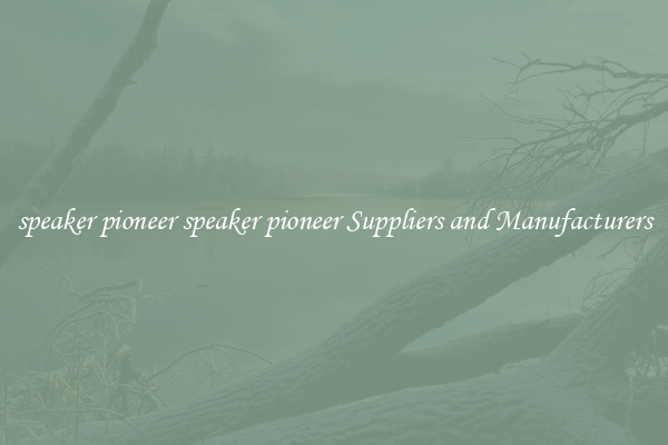 speaker pioneer speaker pioneer Suppliers and Manufacturers
