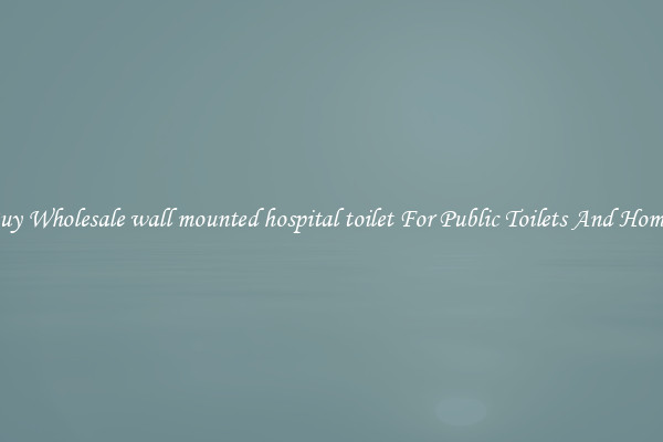 Buy Wholesale wall mounted hospital toilet For Public Toilets And Homes