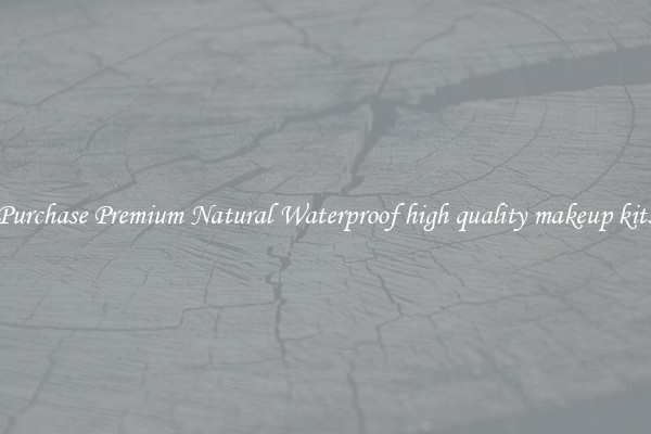 Purchase Premium Natural Waterproof high quality makeup kits