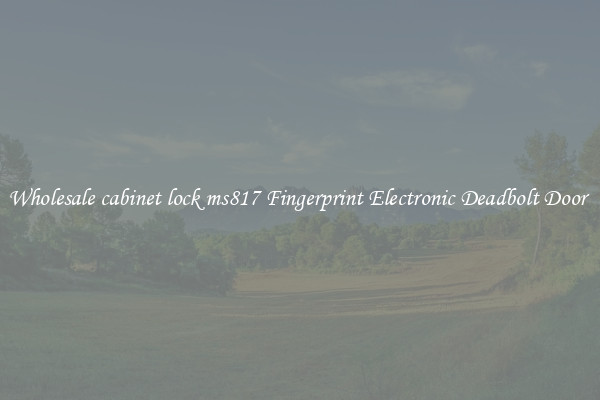 Wholesale cabinet lock ms817 Fingerprint Electronic Deadbolt Door 