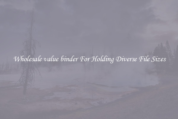 Wholesale value binder For Holding Diverse File Sizes