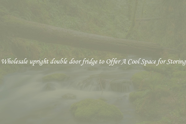 Wholesale upright double door fridge to Offer A Cool Space for Storing