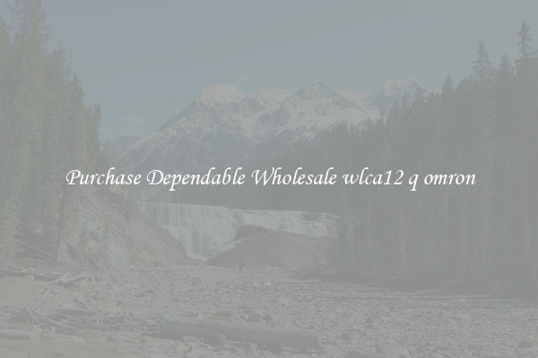 Purchase Dependable Wholesale wlca12 q omron