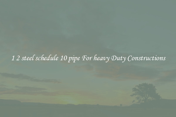 1 2 steel schedule 10 pipe For heavy Duty Constructions
